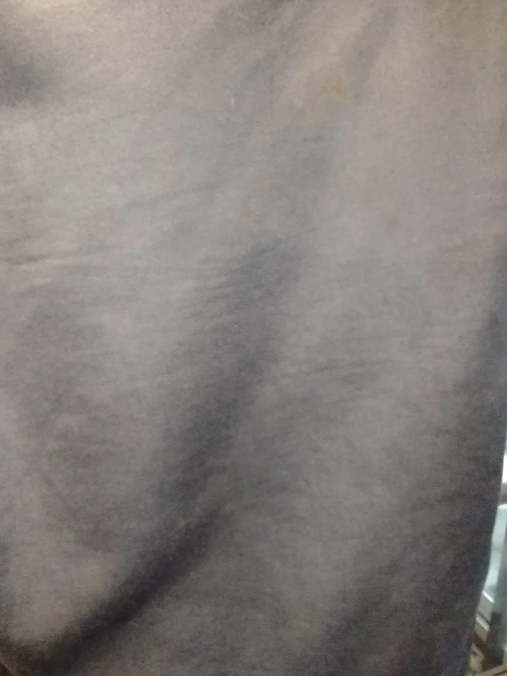 Belstaff Gray Flat-Front Shorts with Belt